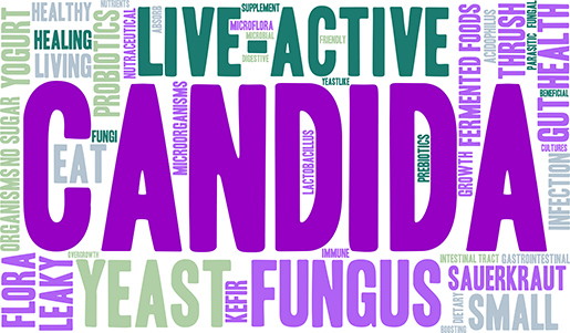 what is candida yeast 