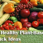 plant based snacks