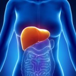 Your Liver Weight Loss