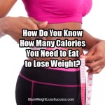 How much to eat to lose weight
