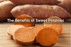 kelly clarkson keto gummies customer service number