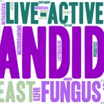 what is candida yeast